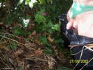 Photo amateur