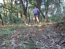 Photo amateur