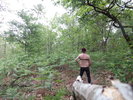 Photo amateur