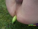 Photo amateur