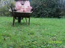 Photo amateur