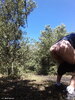 Photo amateur