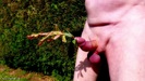 Photo amateur