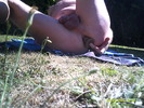 Photo amateur