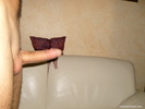 Photo amateur