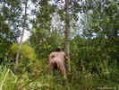 Photo amateur