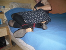 Photo amateur