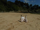 Photo amateur