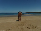 Photo amateur