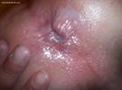 Photo amateur