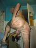 Photo amateur