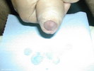 Photo amateur