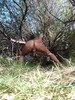 Photo amateur