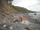Photo amateur