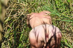 Photo amateur