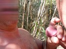 Photo amateur