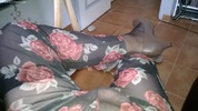 Photo amateur