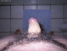 Photo amateur