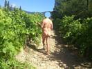 Photo amateur