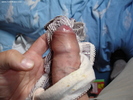 Photo amateur