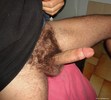 Photo amateur