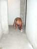 Photo amateur